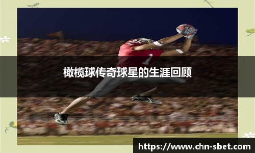 sbet实博